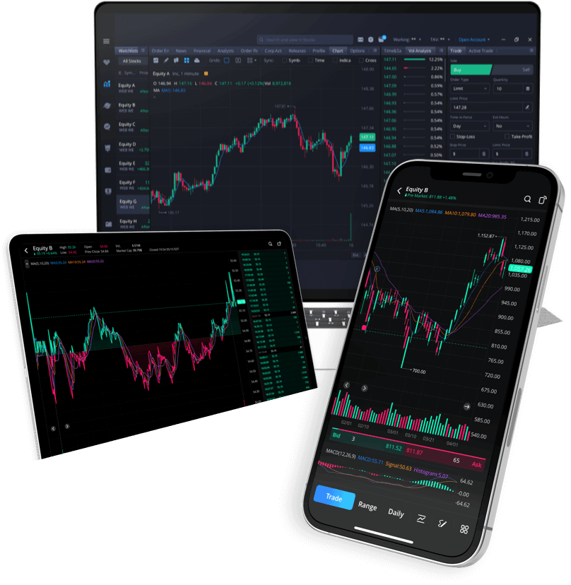 World Summit Equity